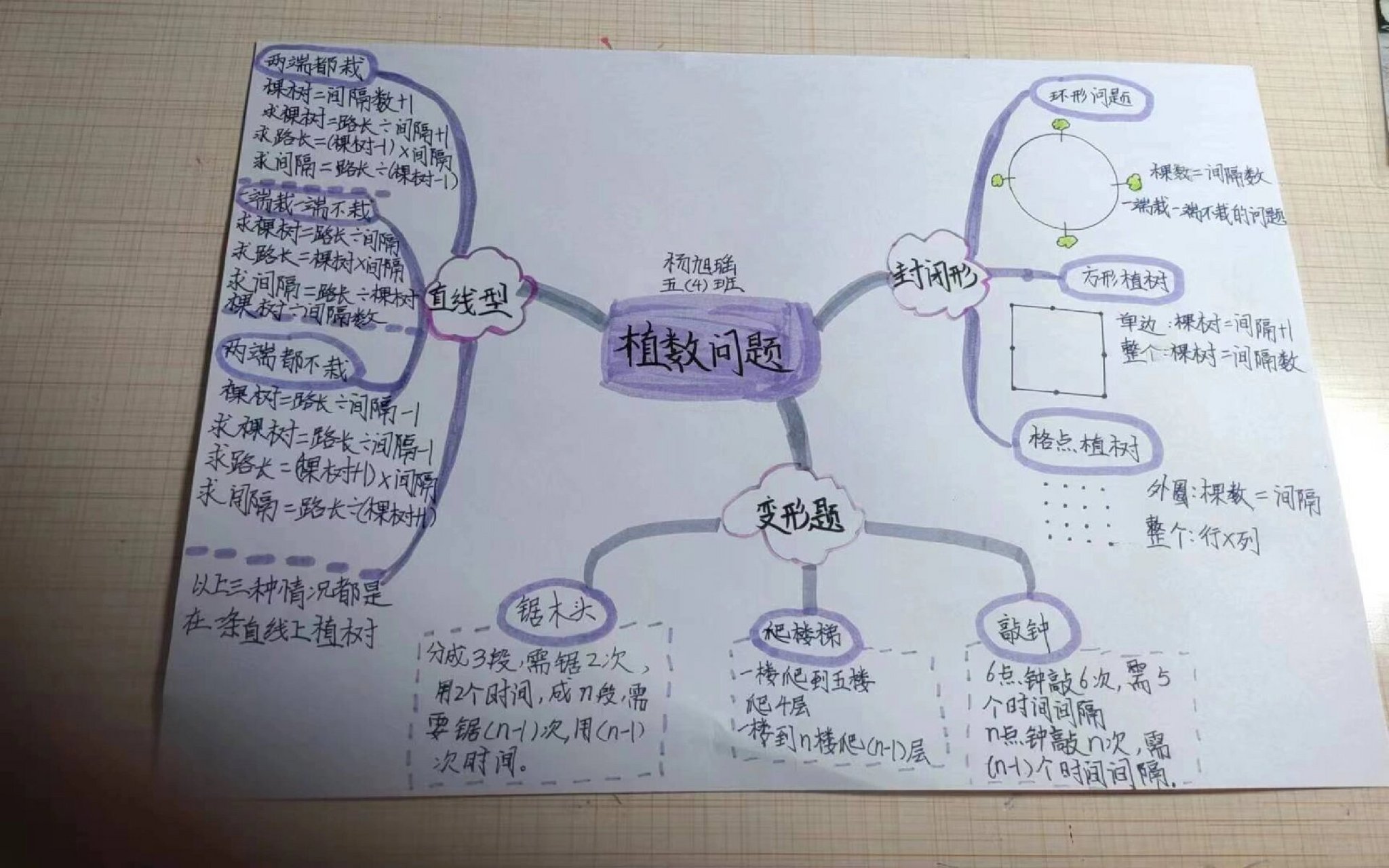 五年级上册植树问题思维导图