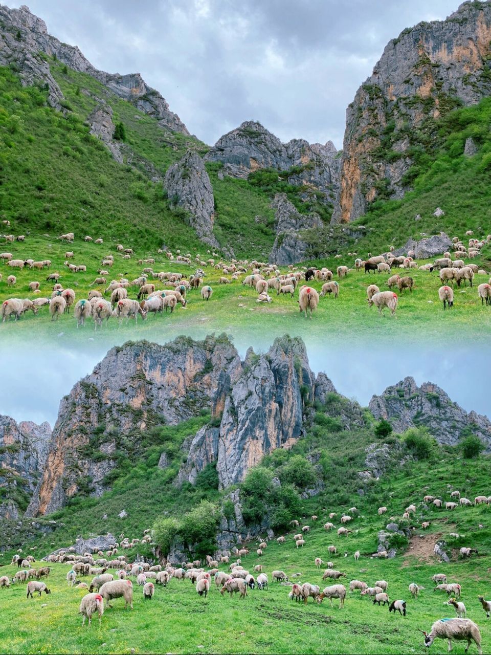 郎木寺纳摩大峡谷图片