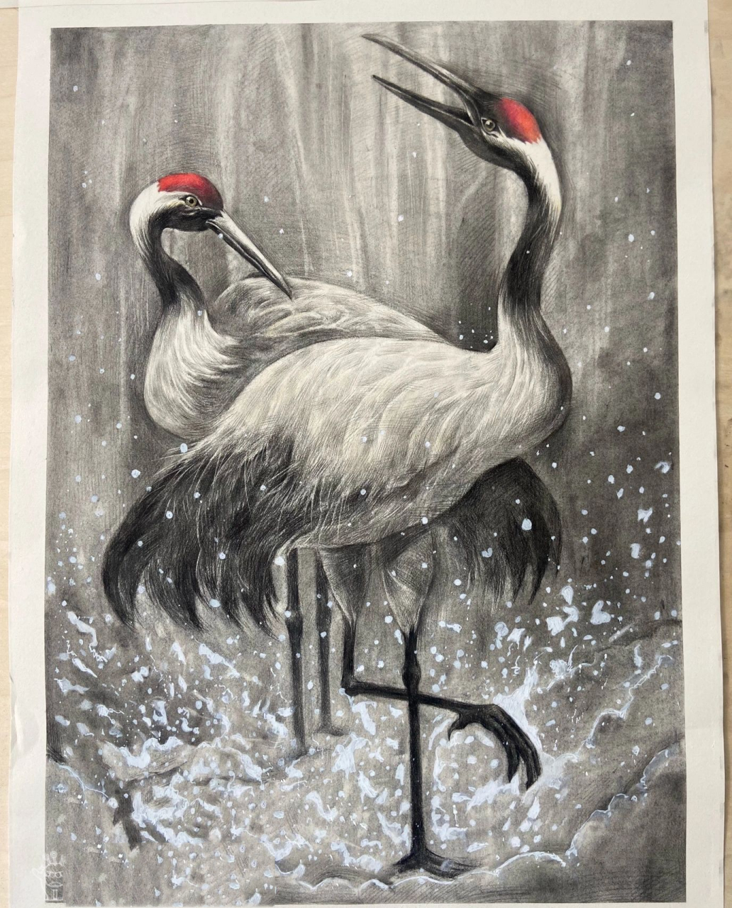 素描创意画 丹顶鹤 无意中刷到这张照片,喜欢当然要