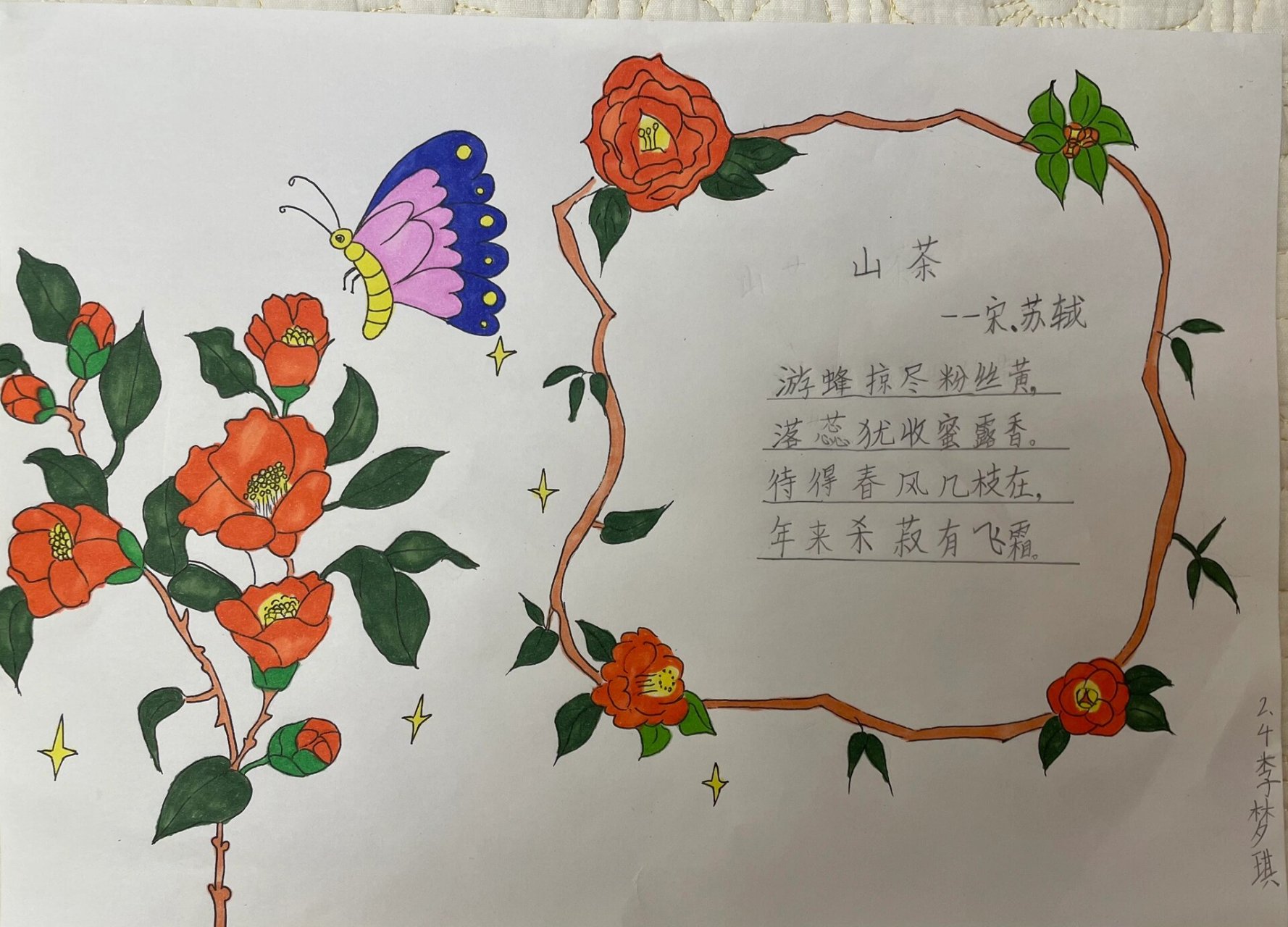 山茶花手抄报 #二年级语文# #小学生手抄报