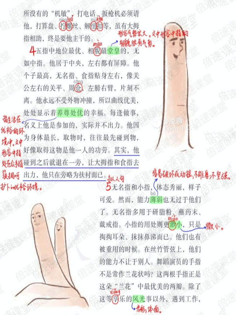 五年级下册|部编版语文|第22课手指|预习笔记