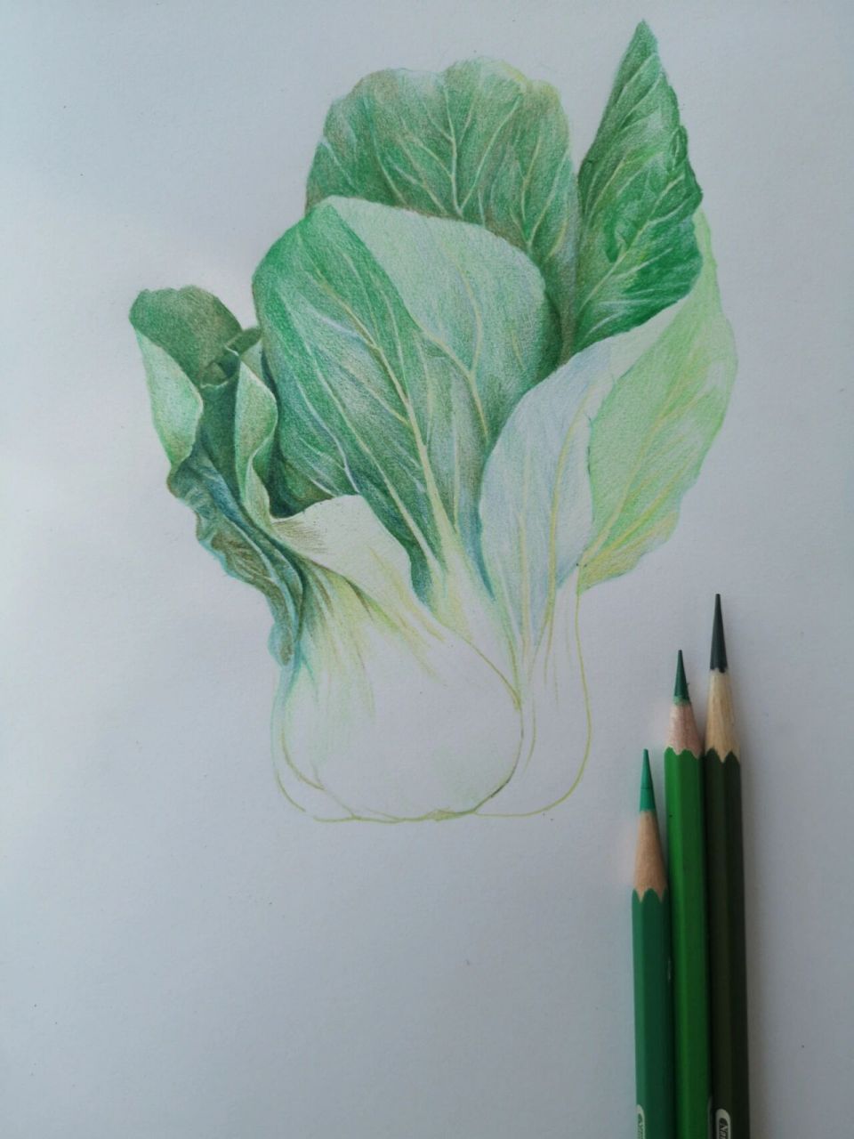 绘画入门教程步骤图纯干货分享 彩铅基础入门画简单内容,适合中级学员