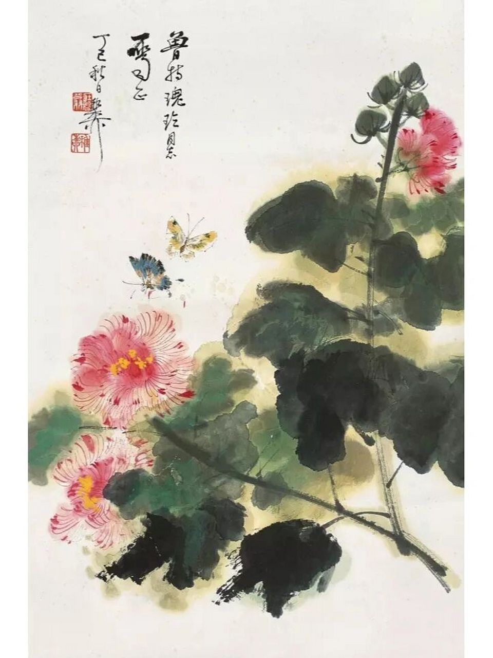 国画素材 他笔下的芙蓉花,落墨赋彩,酣畅淋漓,挥洒自如.