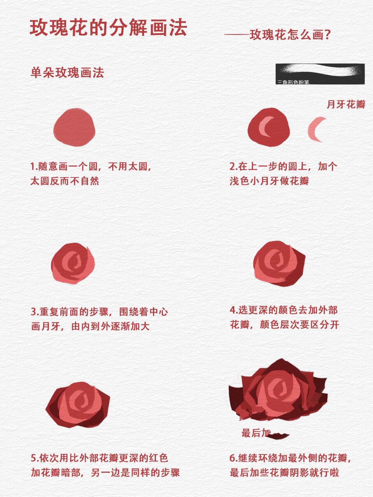 零基础学插画|情人节玫瑰花的分解画法