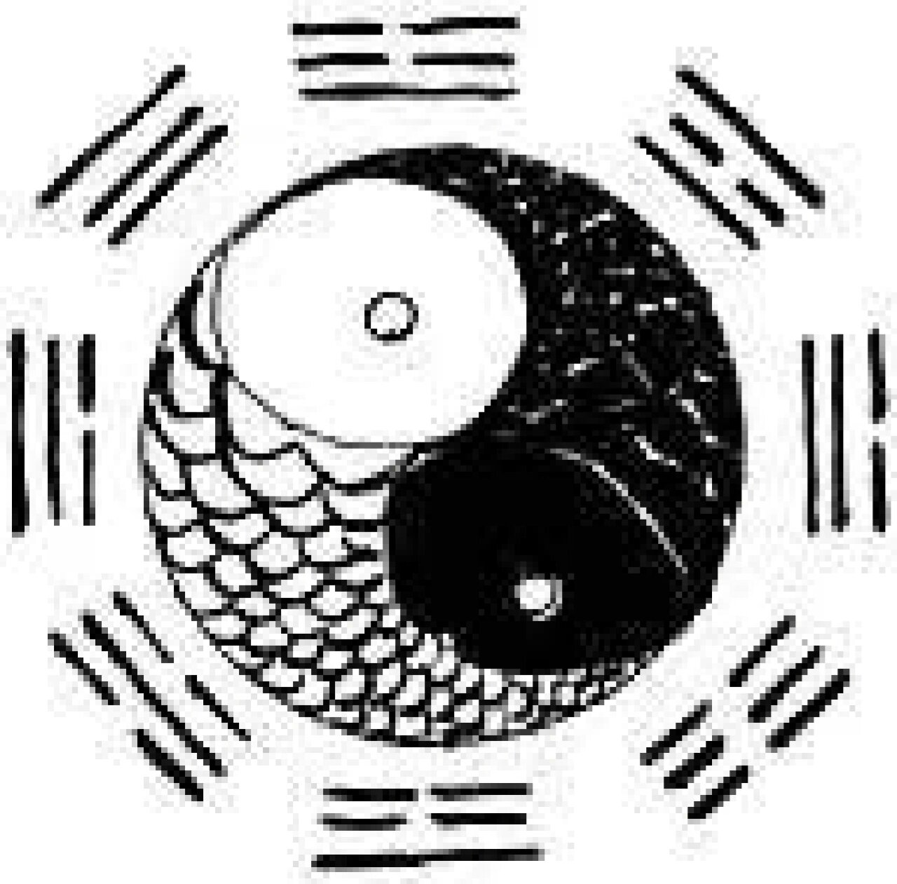太极阴阳鱼 阴阳鱼是一幅太极图,因为圈子里有两条黑白相间的鱼而得名