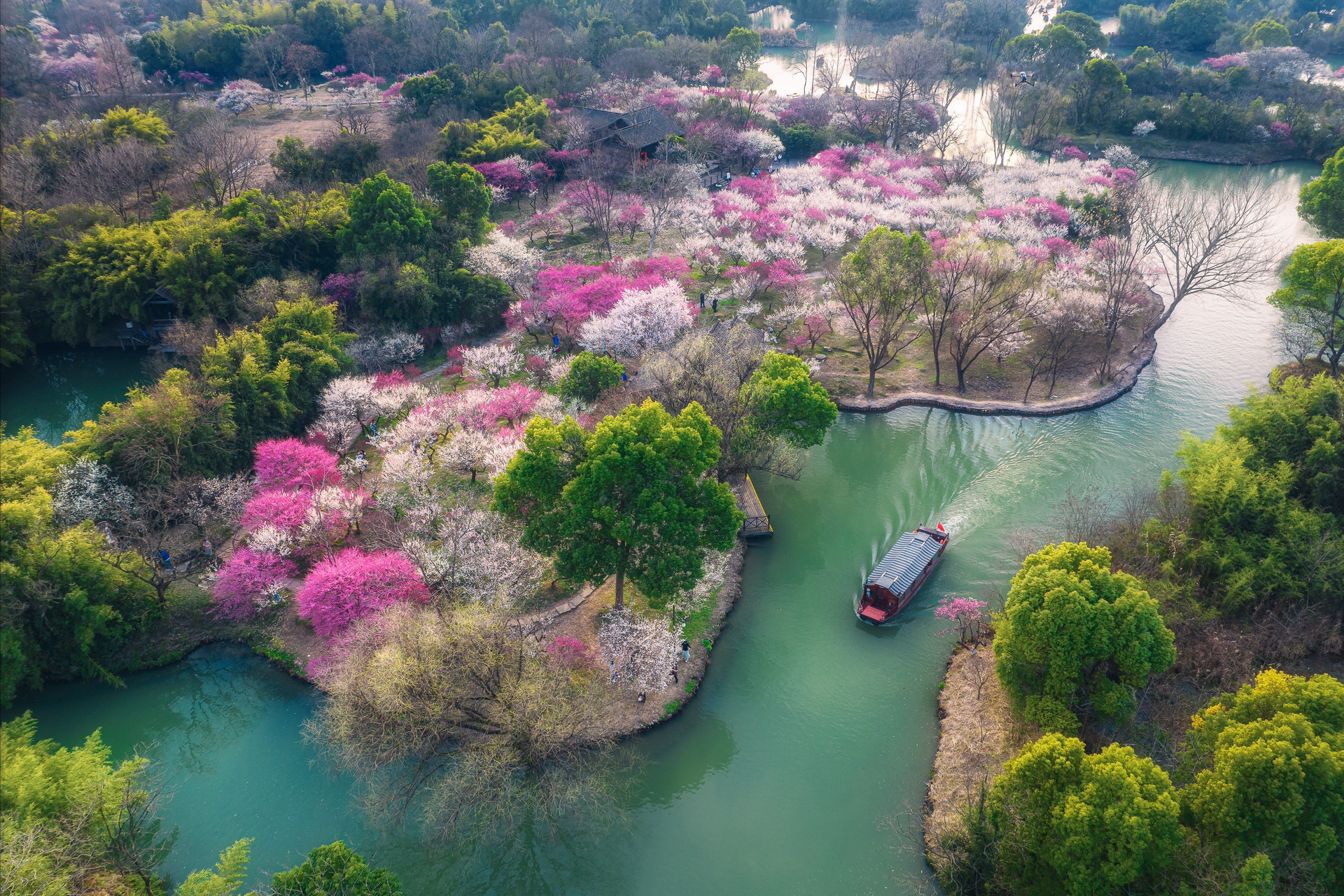 三生三世十里梅花就在西溪湿地6015 西溪湿地的"探梅节"正在进行