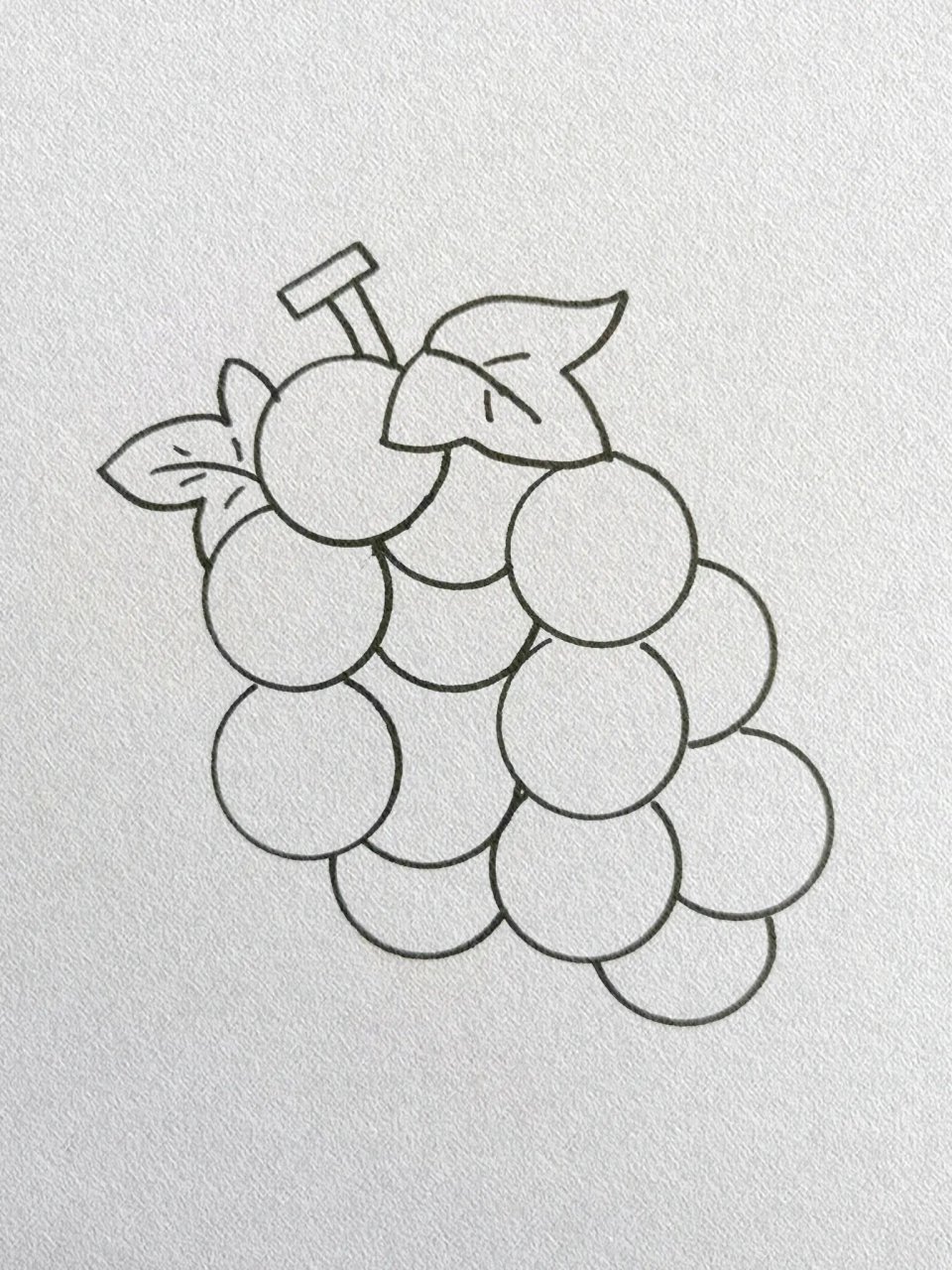 葡萄简笔画教程