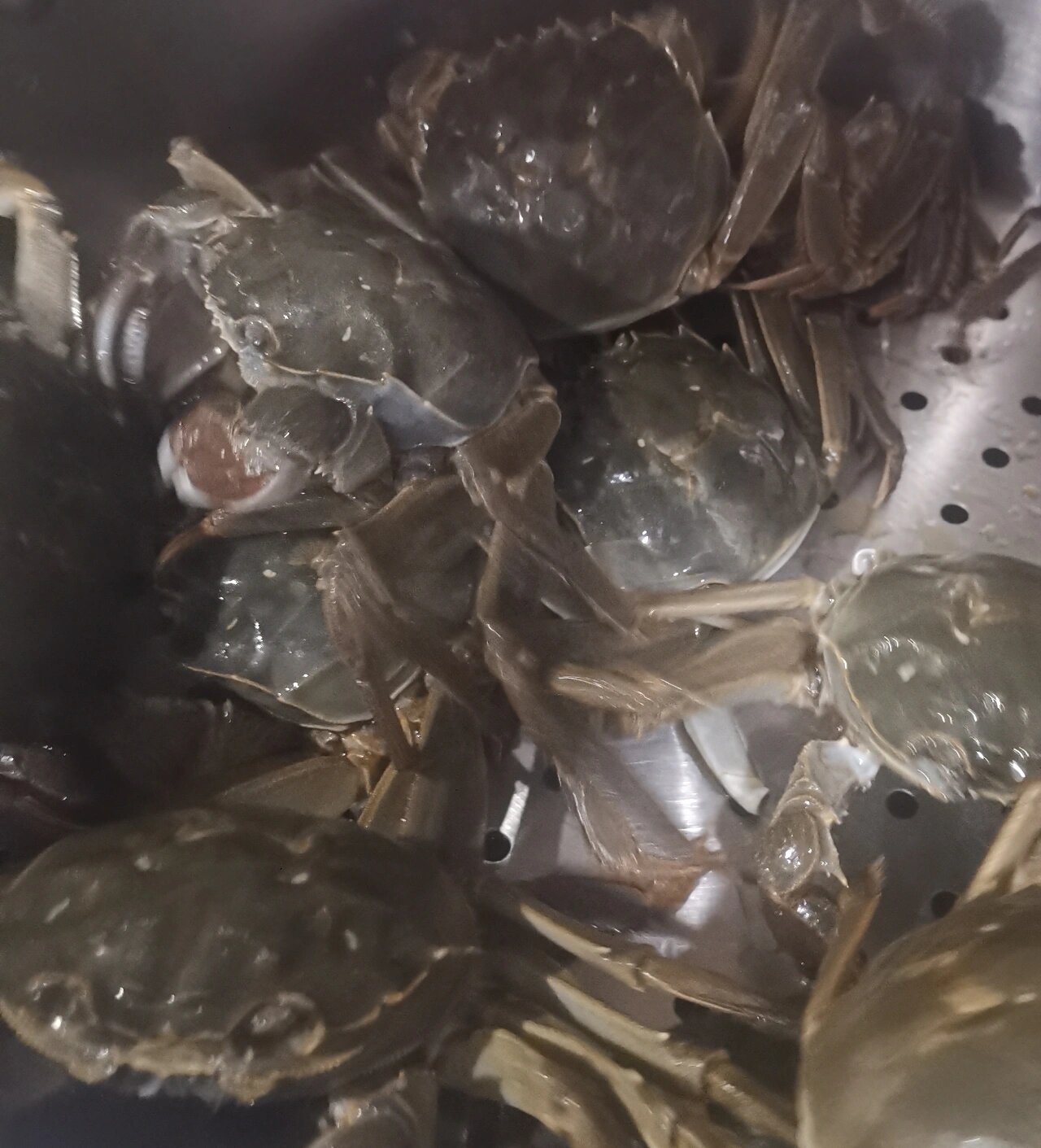 腌制生螃蟹(河蟹,海蟹)