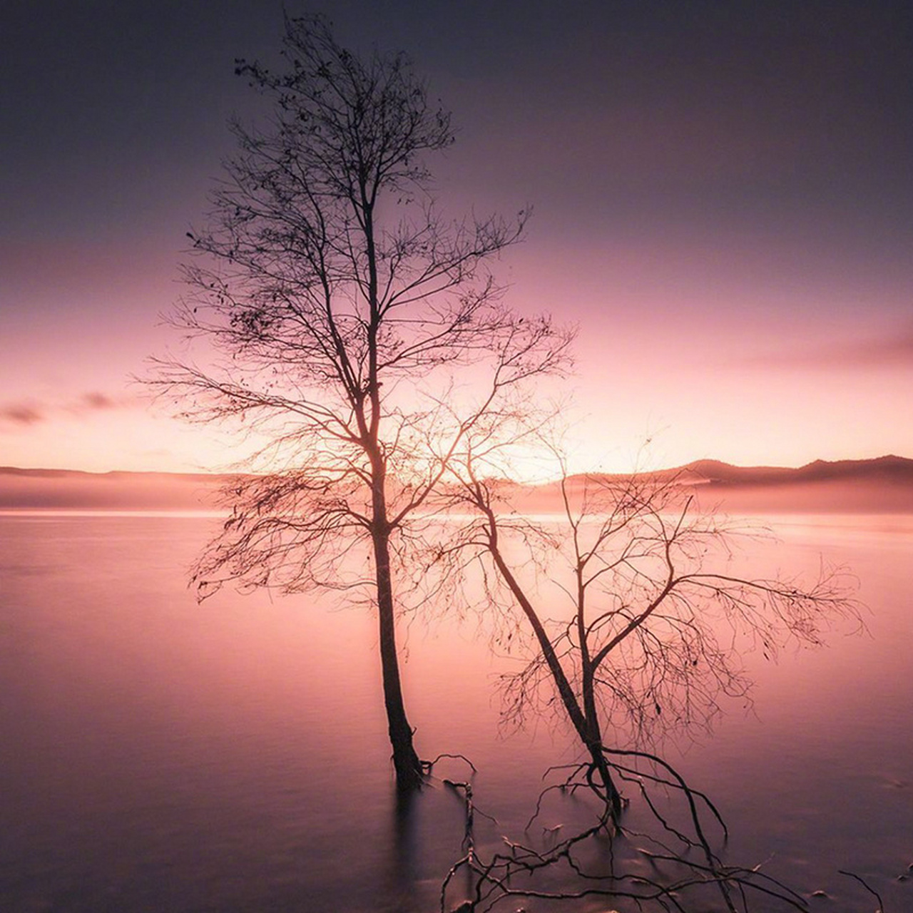 紫色系风景美图分享～#图片分享# #摄影#   (via.ins.ruizu3)