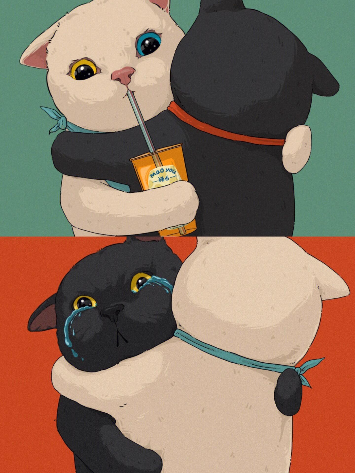 情侣头像|黑白猫咪