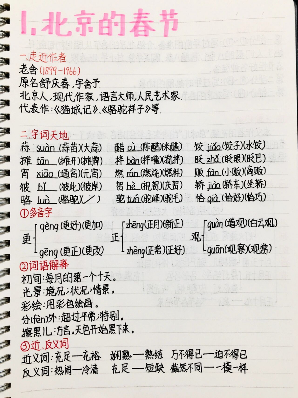 六年级下册语文预习笔记第1课 《北京的春节 全灵同款文具和图书95