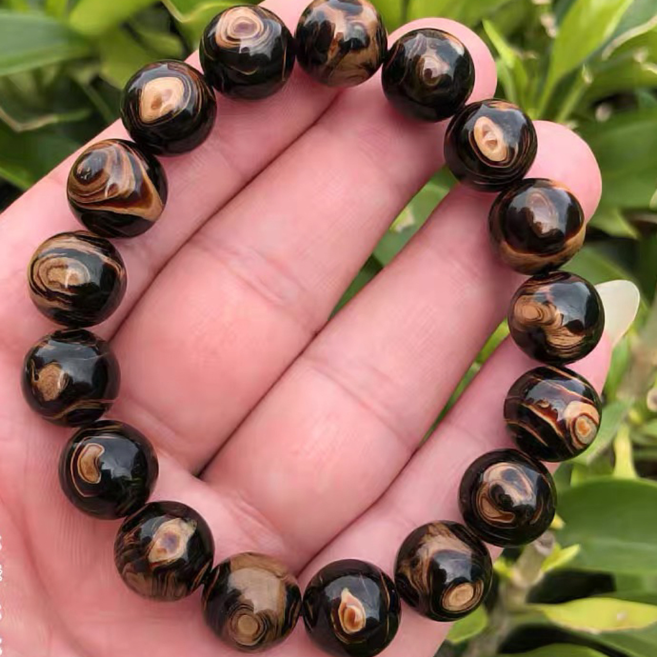 千年神木,万年不腐:海柳 海柳是一种珊瑚,与常食用的海蜇是近亲.