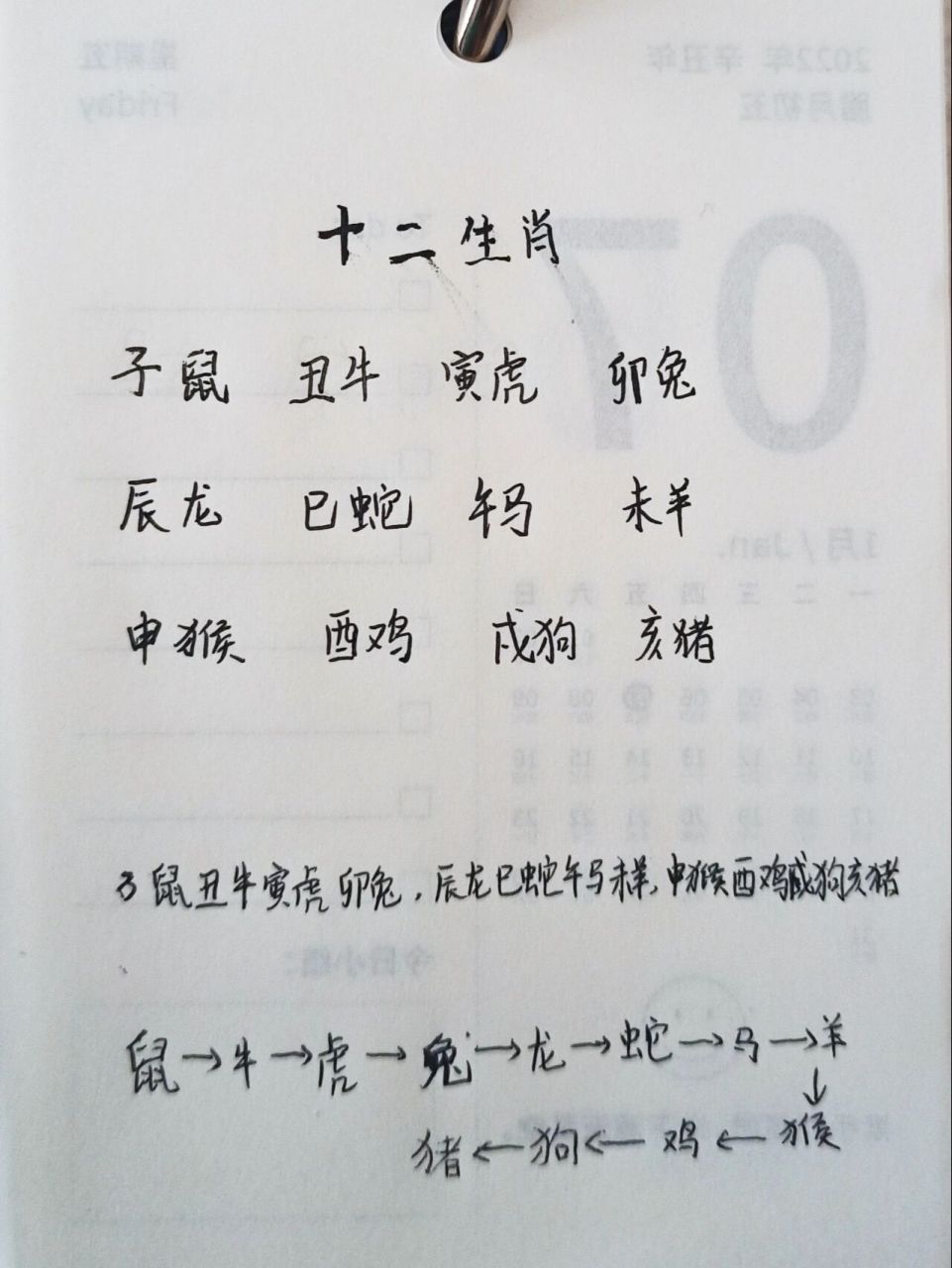 顺序年份寓意 子鼠丑牛寅虎卯兔申龙巳蛇午马未羊申猴酉鸡戌狗亥猪