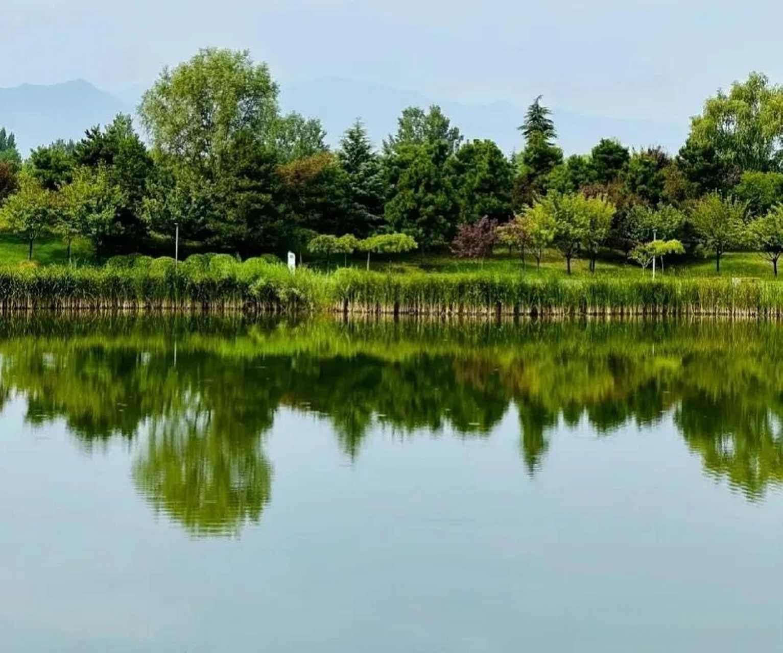 拍拍家乡风景 沣河梁家滩运动公园,秦岭脚下,依山而建,大片的草地