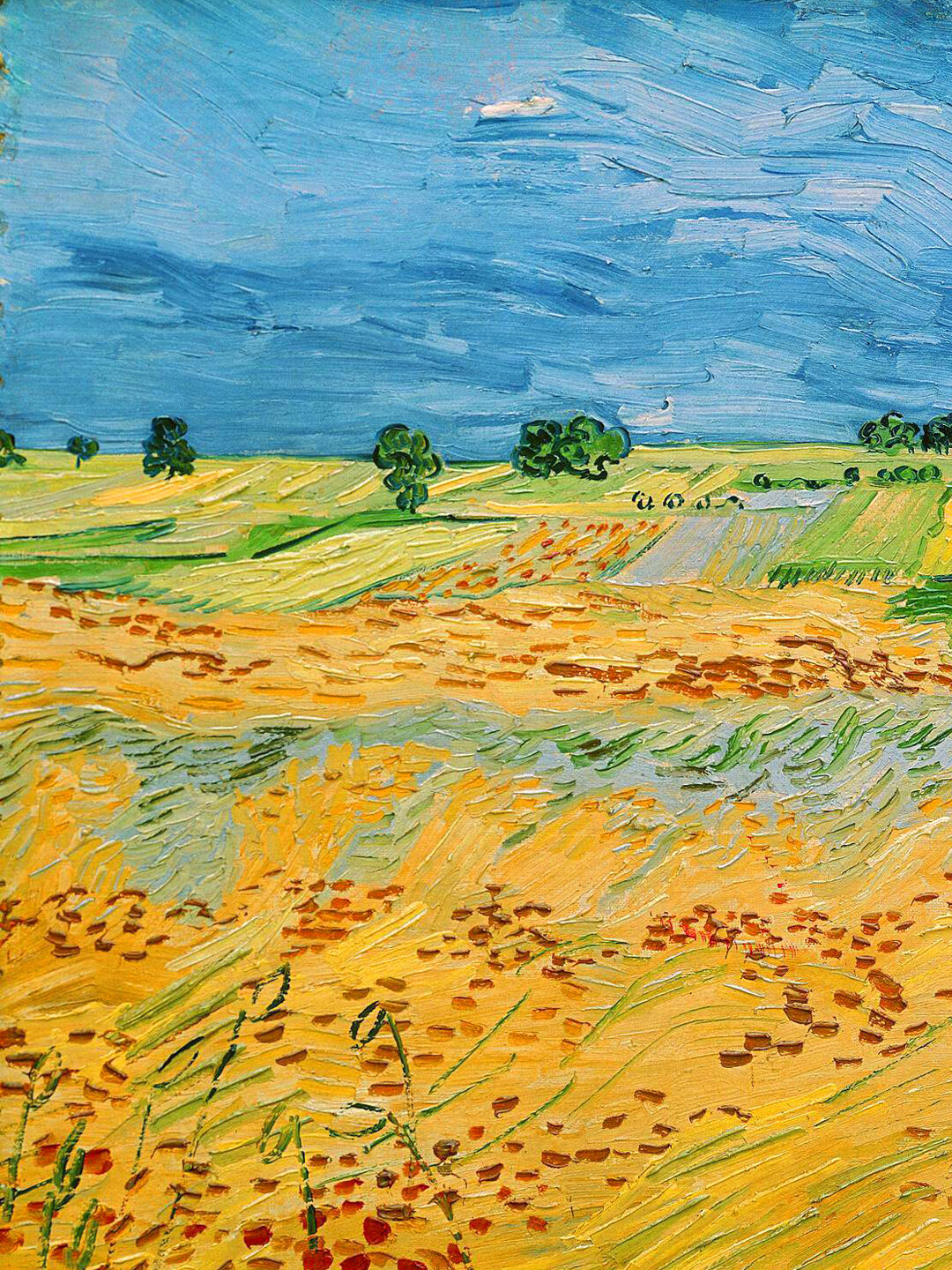 梵高《奥维尔的风景》作品欣赏