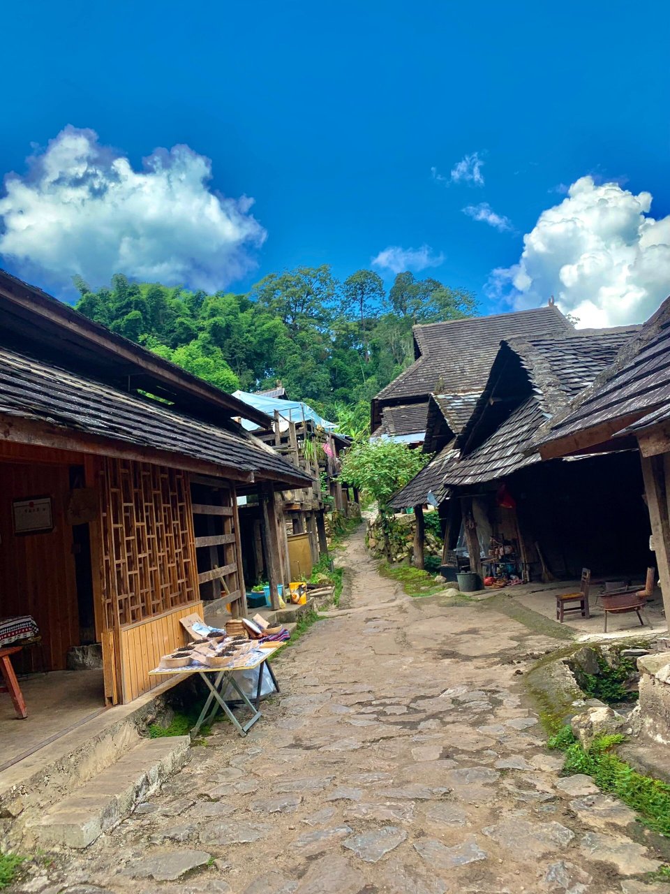 景迈山一(傣族小寨)糯干古寨 糯干在傣语里是"鹿饮水"的意思,寨子里有