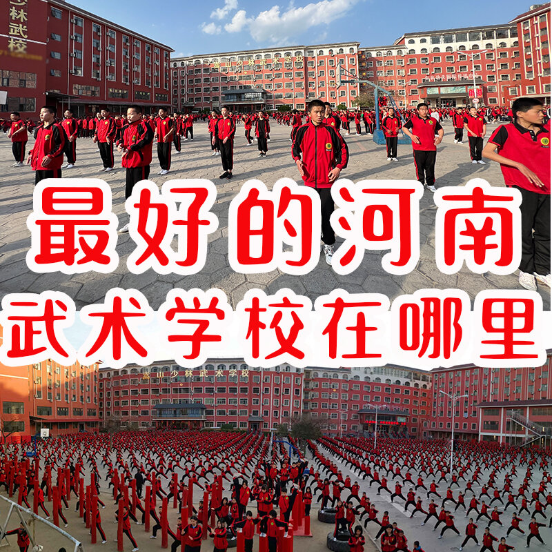 最好的河南武术学校在哪里 嵩山少林武术学校,1985年办校至今学校规模