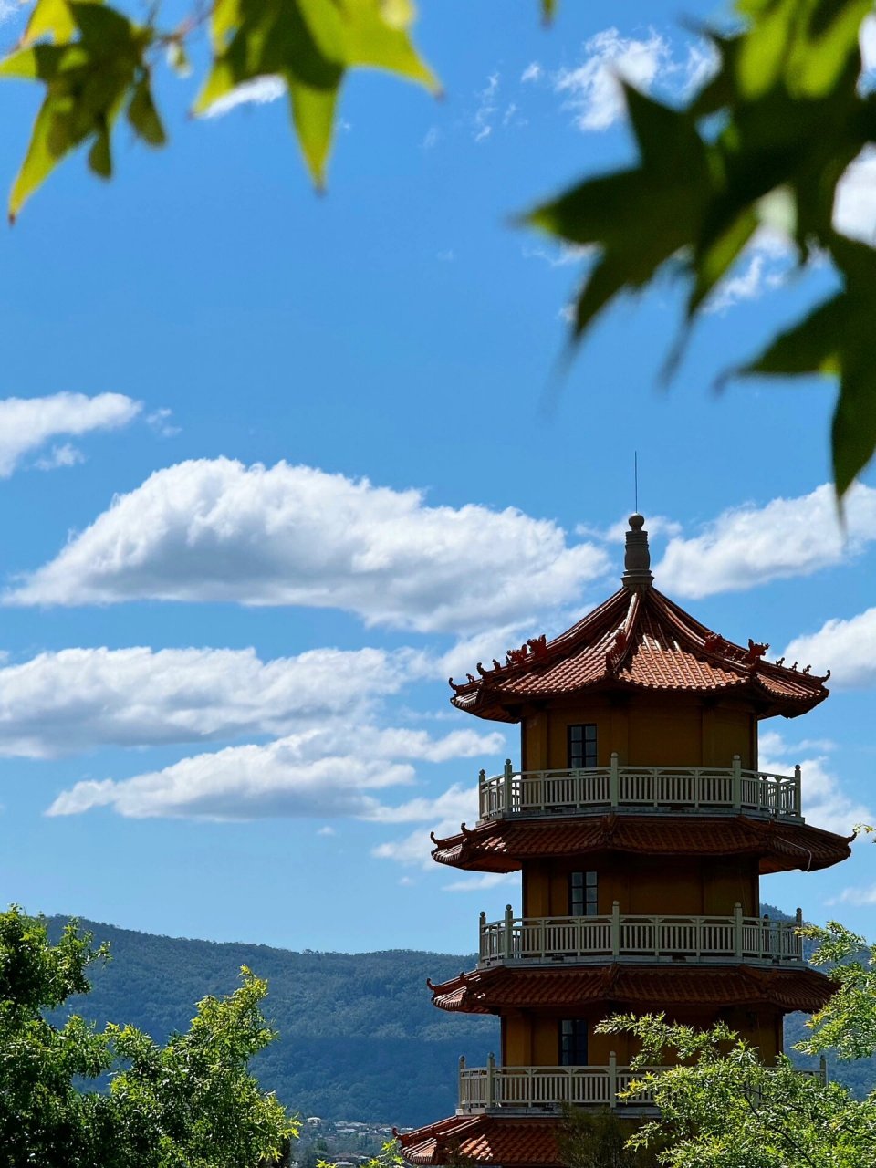 悉尼南天寺和星云大师图片