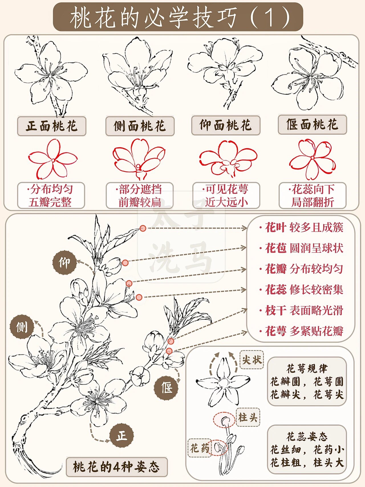 国画入门|94桃花的必学技巧(1)97好看好学6015
