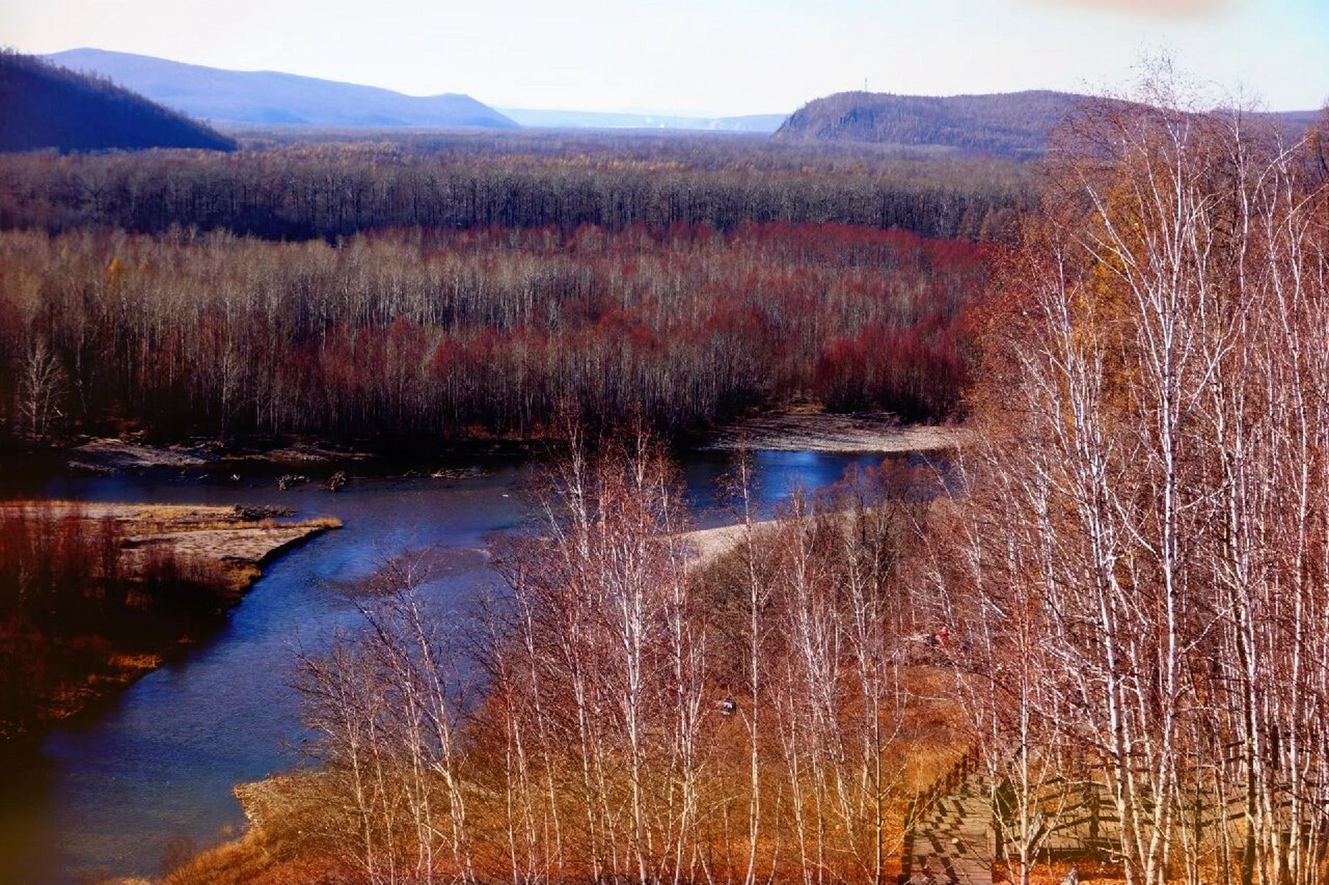 摄于呼伦贝尔根河市.#小众景点# #最美秋色