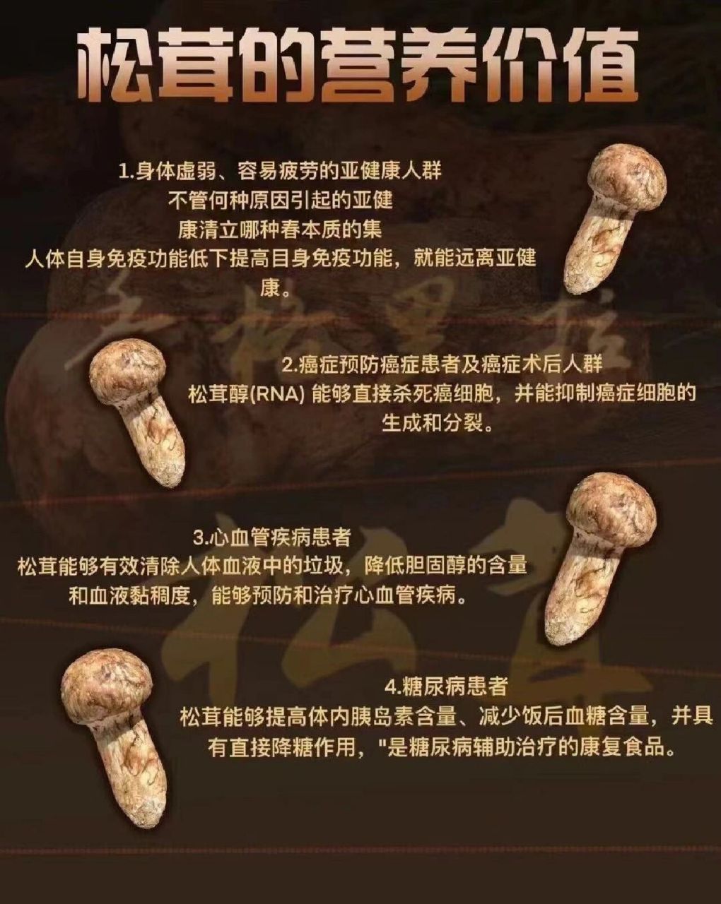 969696松茸的营养价值 松茸的营养价值 .