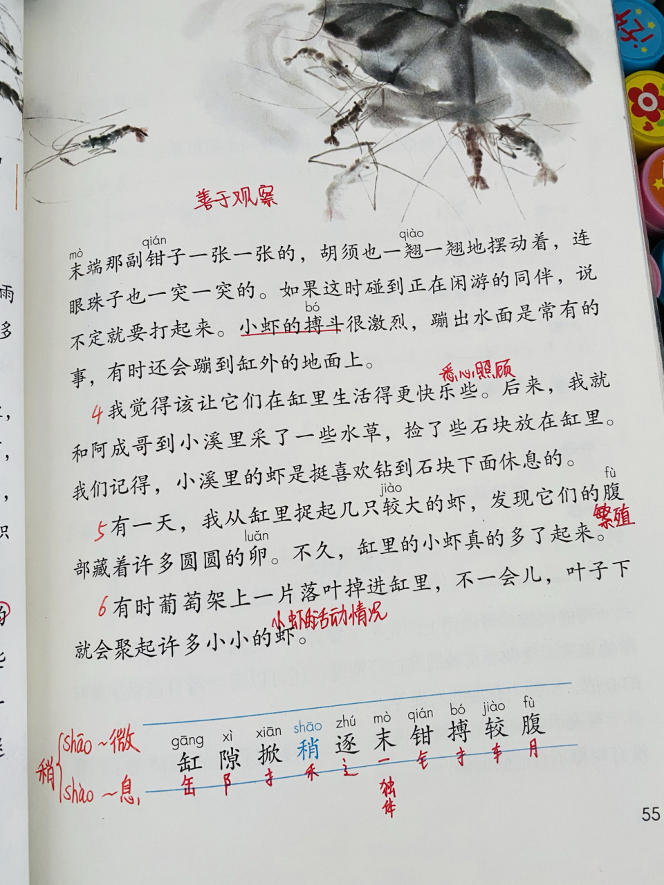 第十五课小虾图片