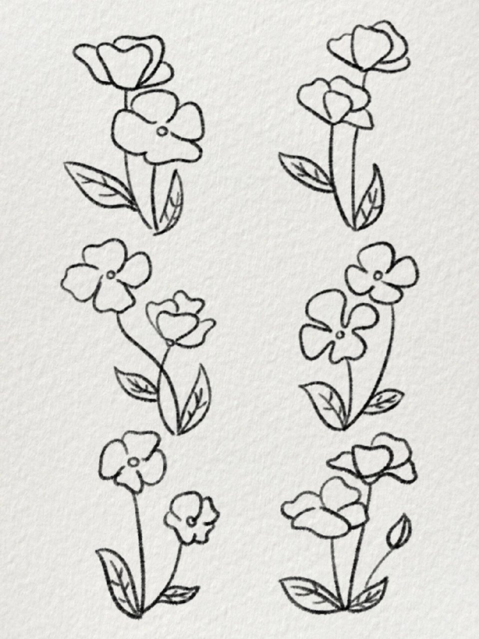 小花简笔画|虞美人花🌸 生命的高贵与卑微,本是相对的