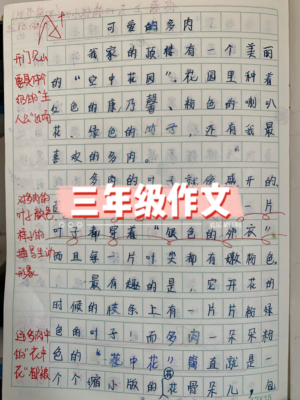 三年级作文—可爱的多肉 三年级作文—可爱的多肉