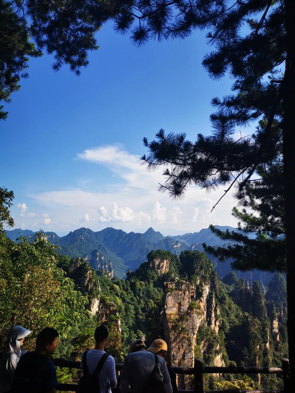 天子山西海峰林,拍不出你的大片!