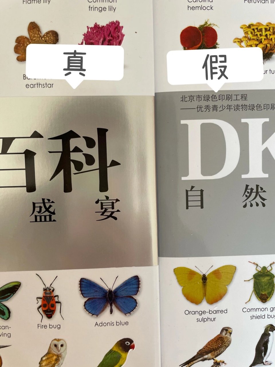 dk博物大百科真假辨别图片