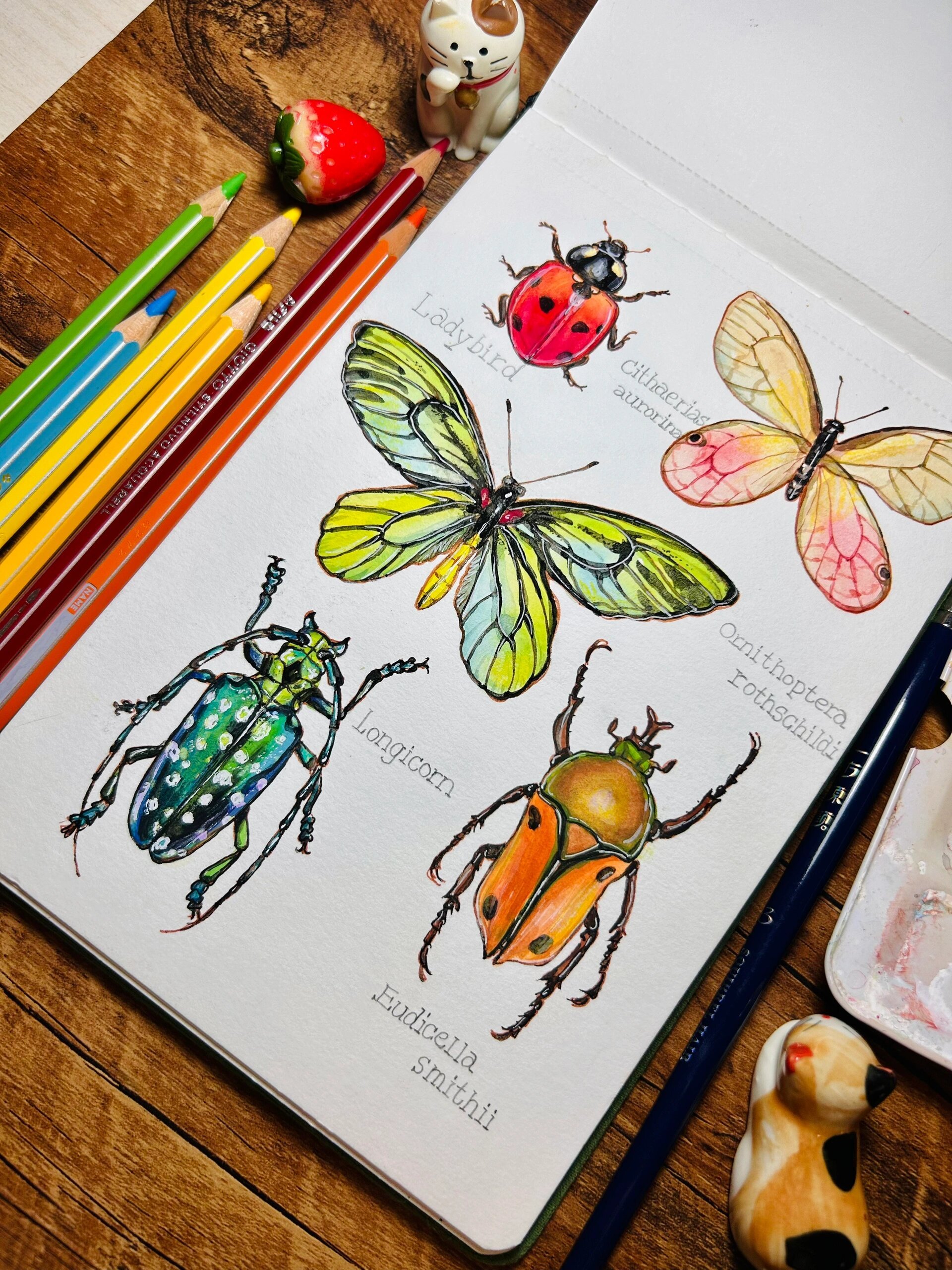 水彩手绘-昆虫篇08940394