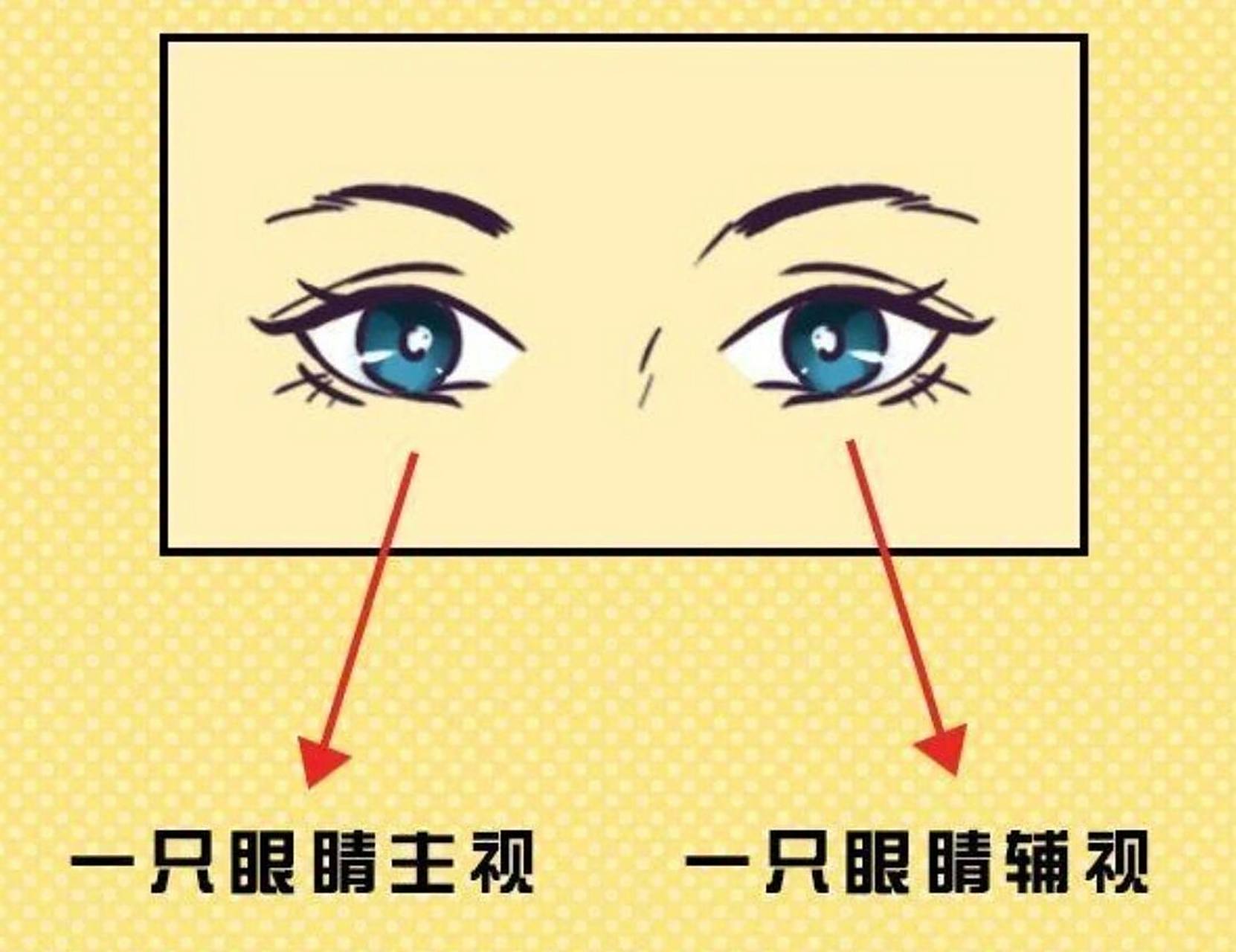 左眼和右眼都有可能成为主视眼 — 下面我就来教
