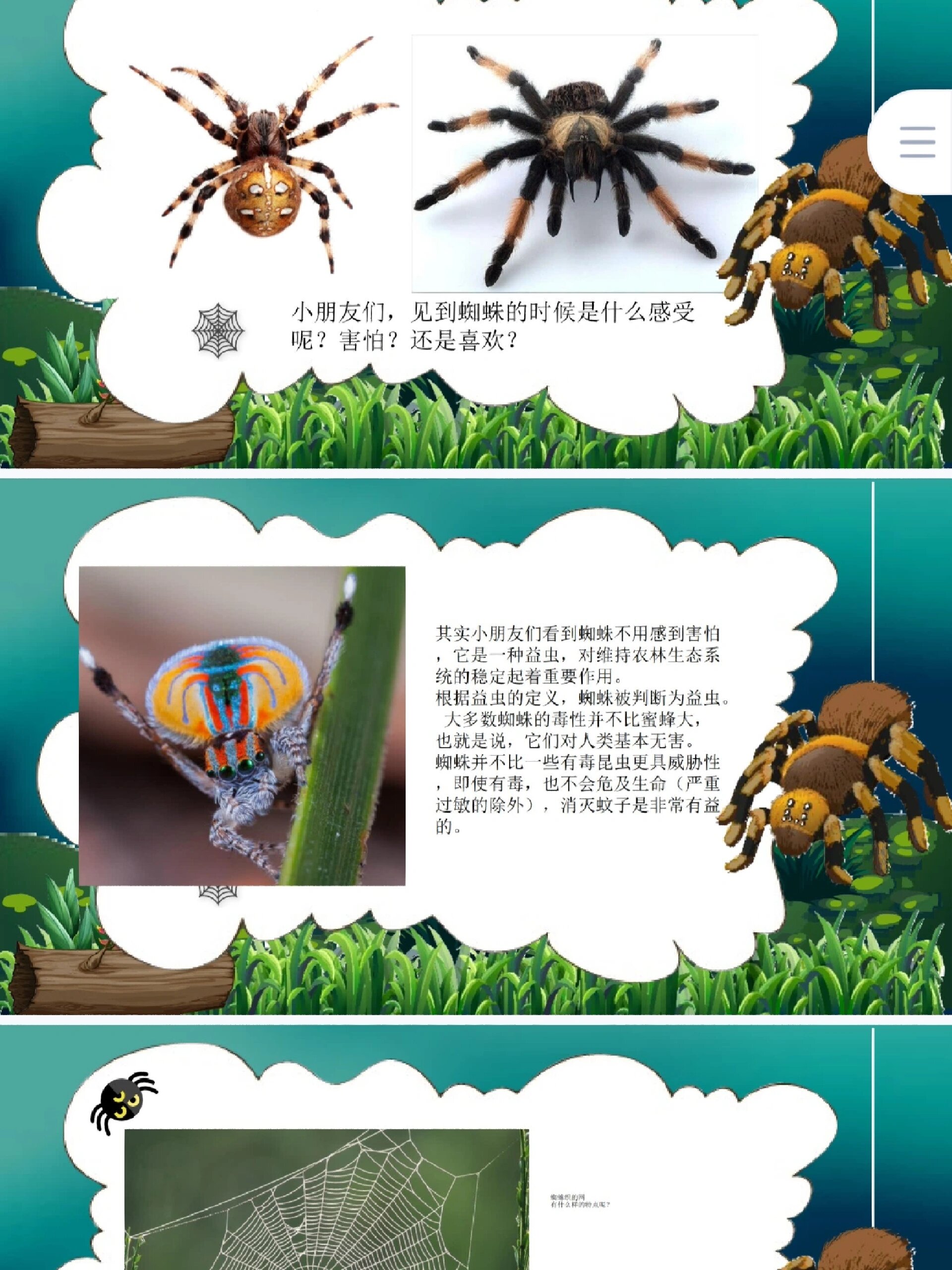 蜘蛛少儿创意美术课件 通过科普蜘蛛的外形及生活习性导入课题,让孩子