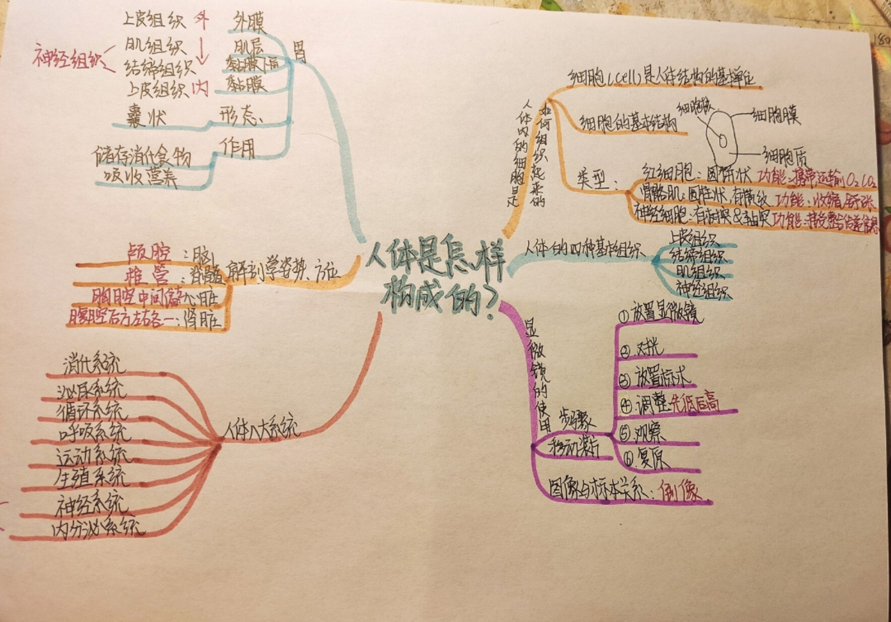 生命主题网络图图片