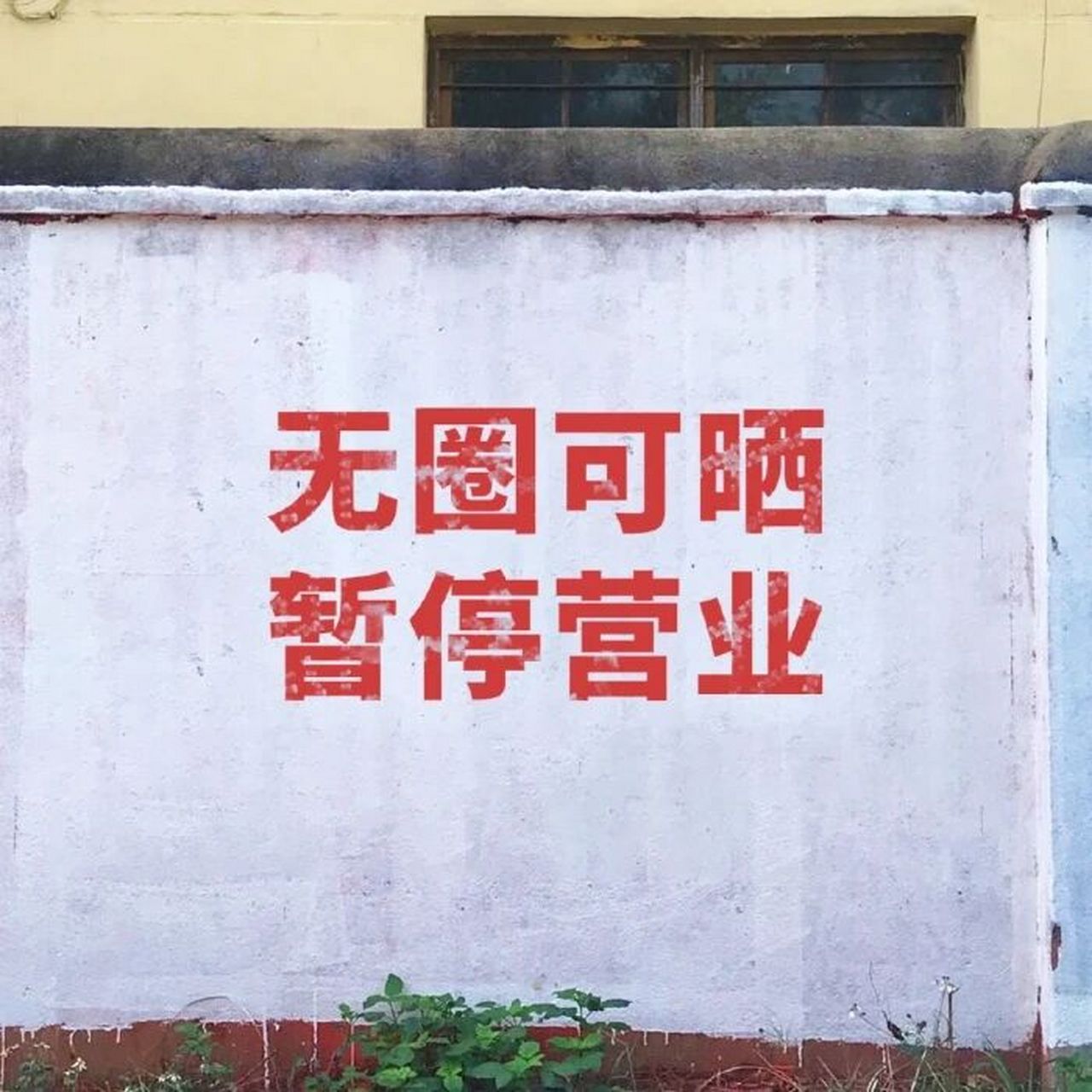 emo风朋友圈背景图 向日葵有一段很好的花语:"我永远只属于你,不用