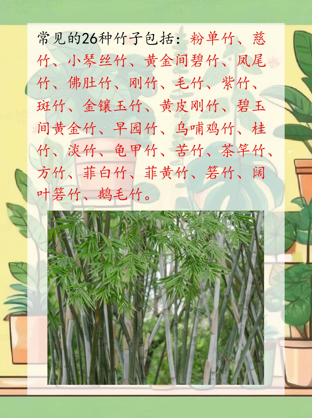 26种竹子大全 我认为竹子是一种多样且极具价值的植物