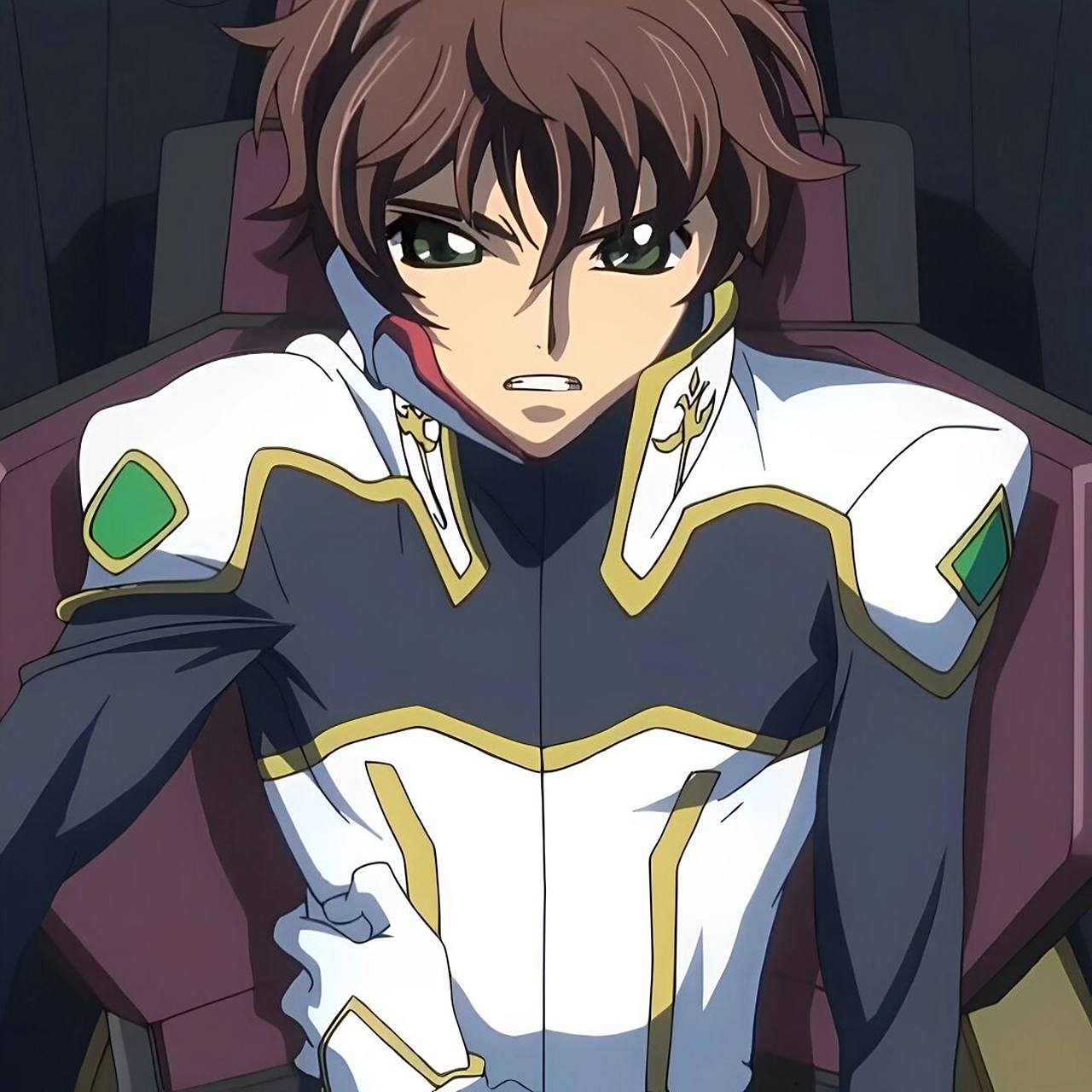 喜欢的请点个赞 谢谢 #反叛的鲁路修# #叛逆的鲁鲁修# #枢木朱雀