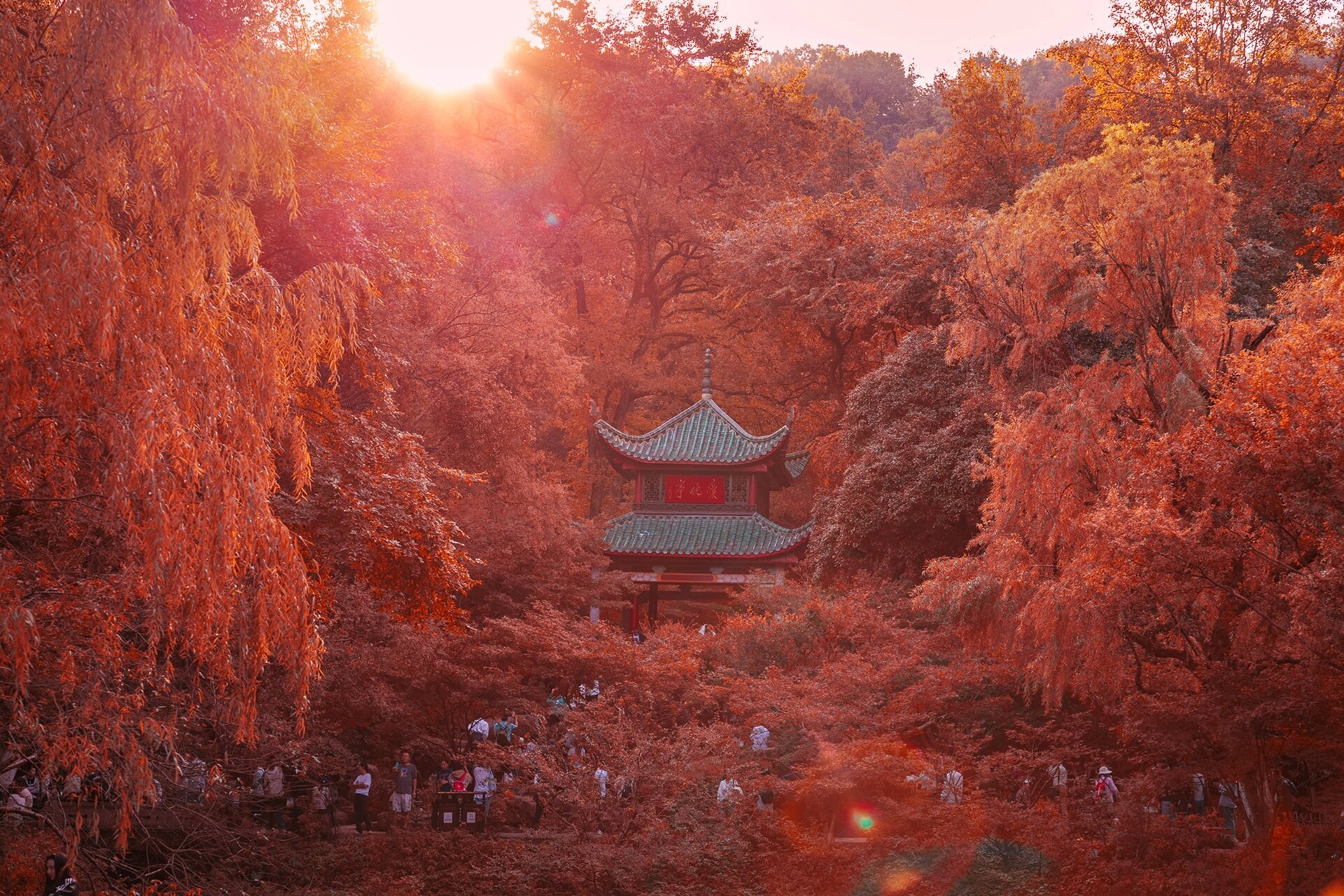 岳麓山的图片图片