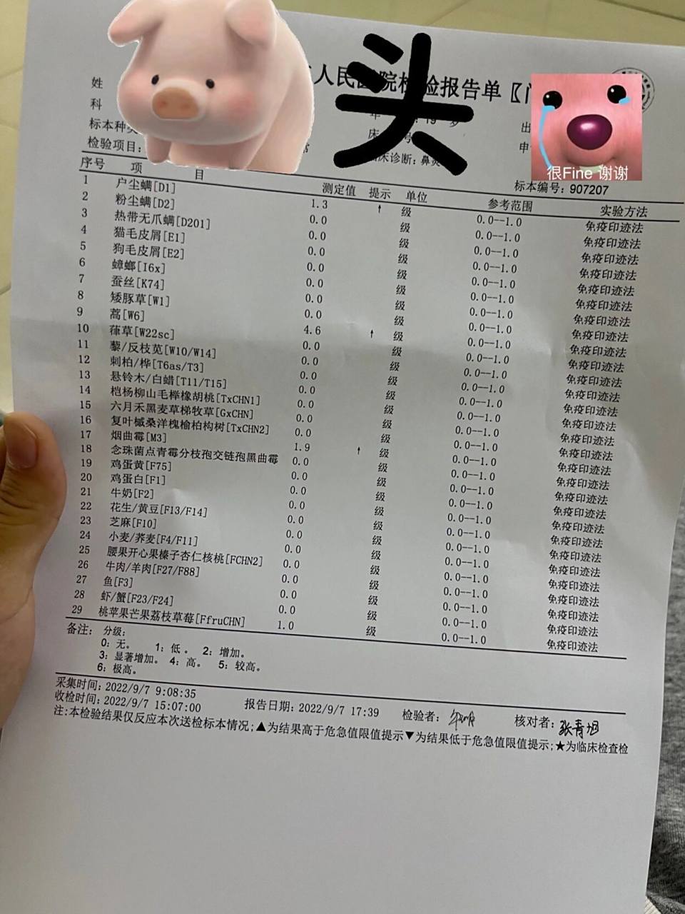 艾蒿过敏 今天才知道自己是艾蒿过敏,之前一直觉得自己是冷空气过敏