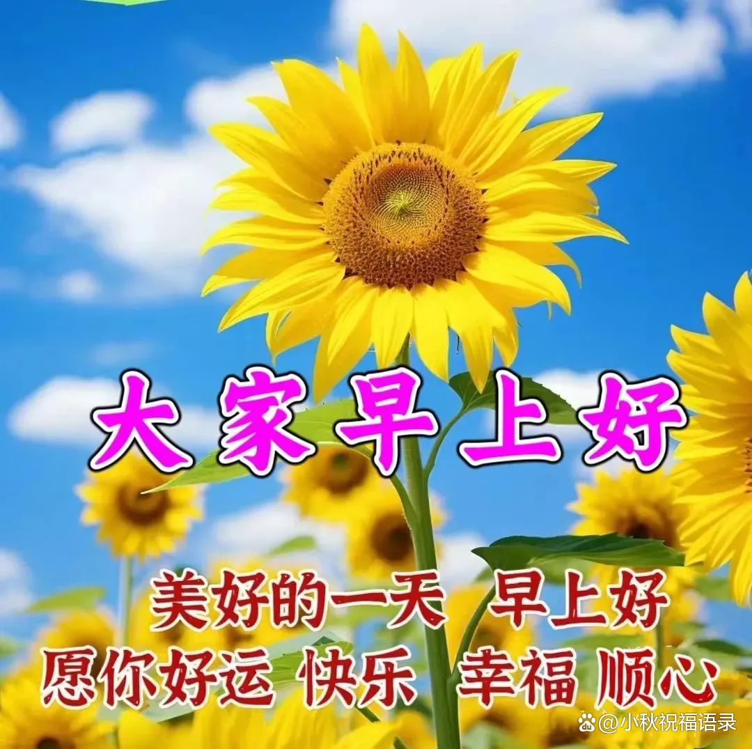 一句简单的问候,温暖彼此的心田;而祝福,永远是心灵深处最真挚的声音