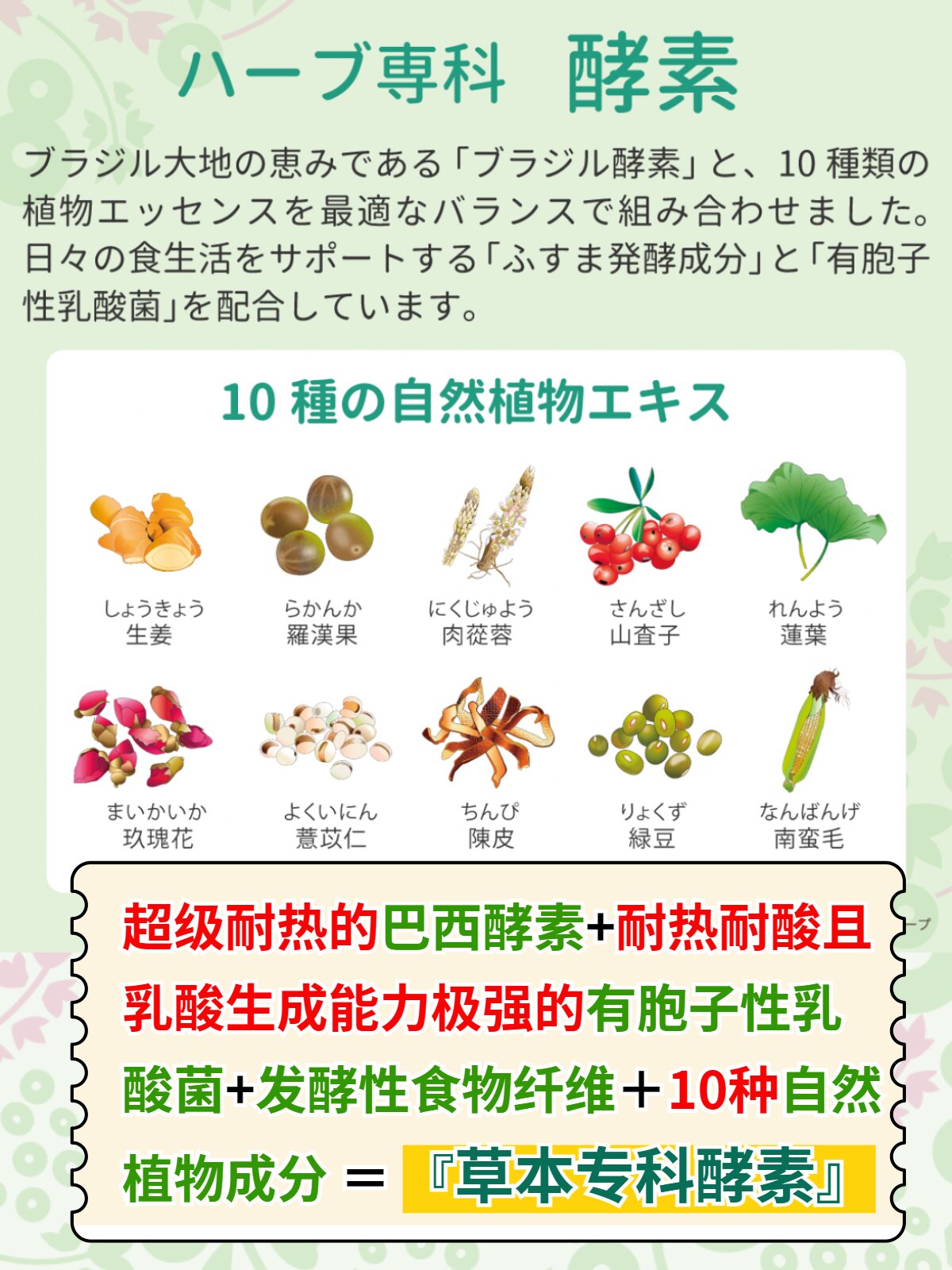 子宫与肠道的关系你了解吗?