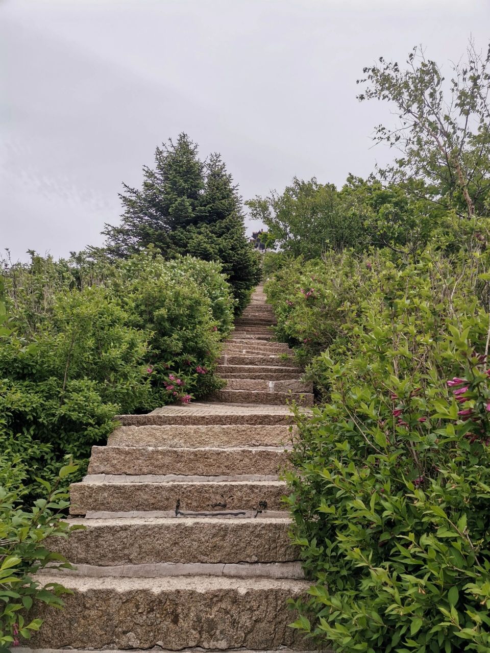 祖山天女峰:一定要去一次的沿海第一高峰 感受:很累,很累,很累!