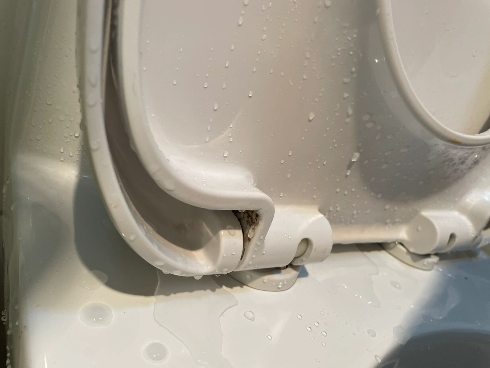 大数据把我推给会拆这个马桶盖的人,箭牌的十年前买的 大数据把我推给