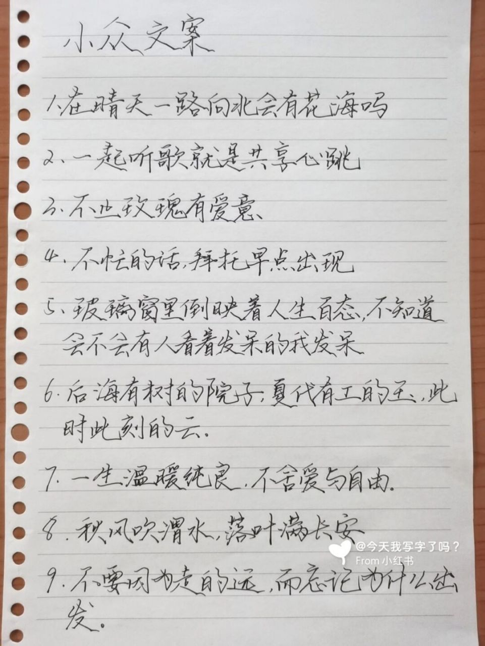 小眾文案 朋友圈文案00 93在晴天一路向北會有花海嗎 93一起