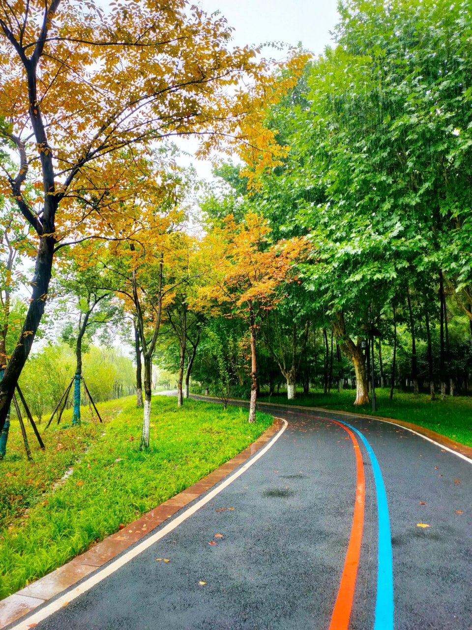 杭州宝藏公园之北塘河 千万不要利用午休时间去北塘河呀,一个人承包一