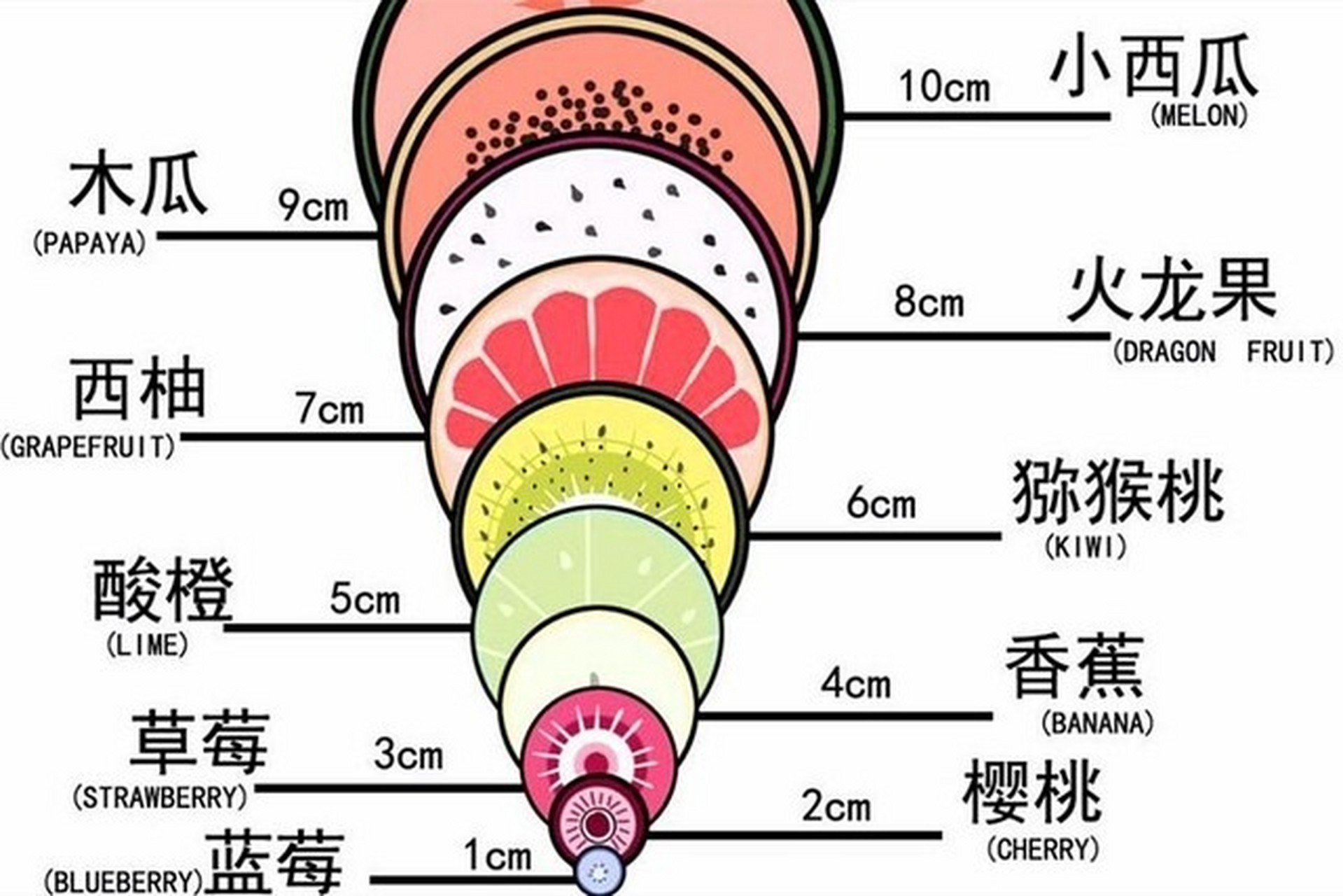 骨盆开十指图图片