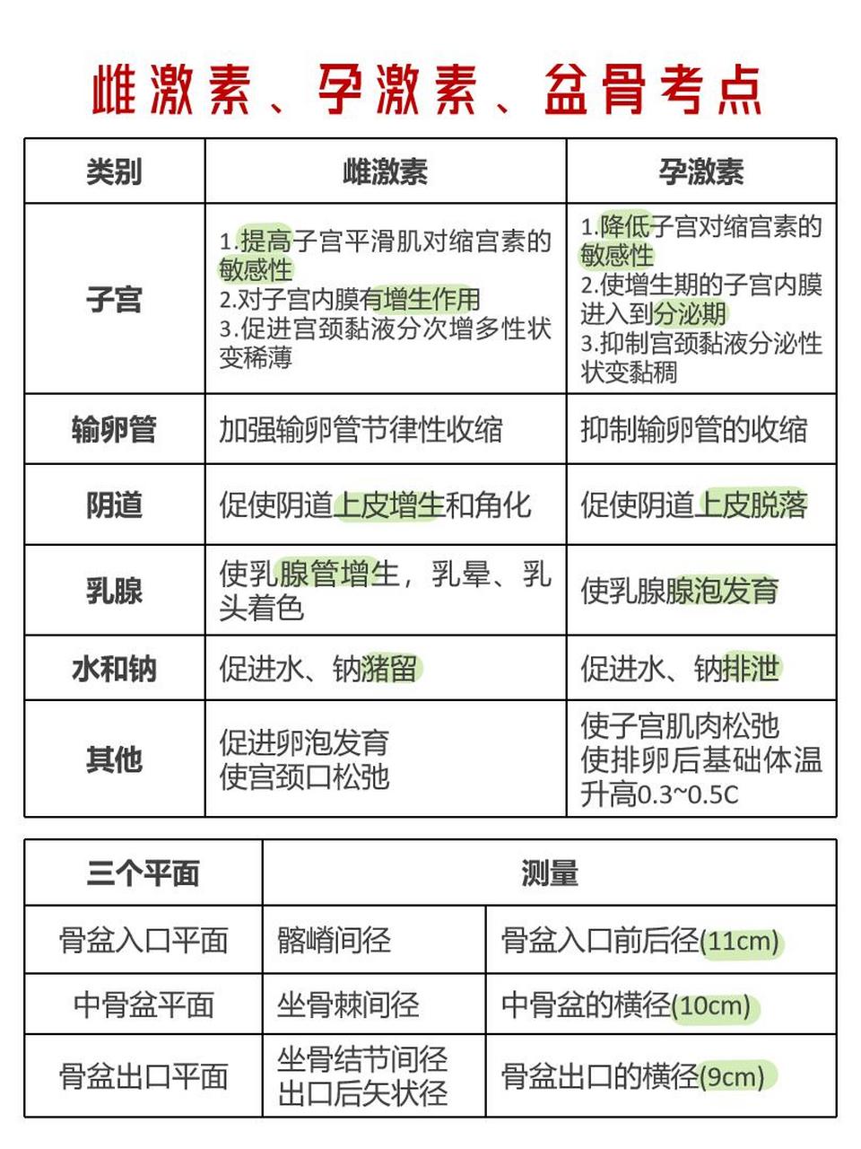 雌激素,孕激素,盆骨考点总结