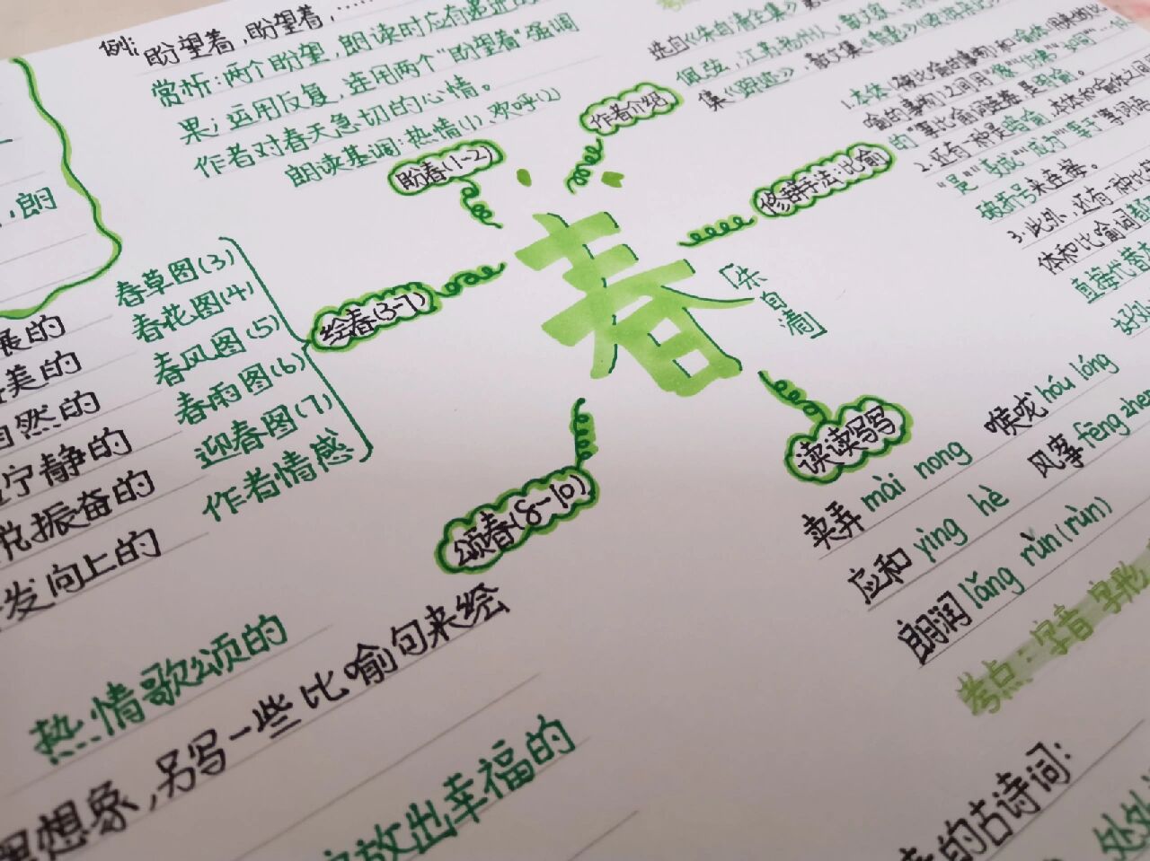 春思维导图