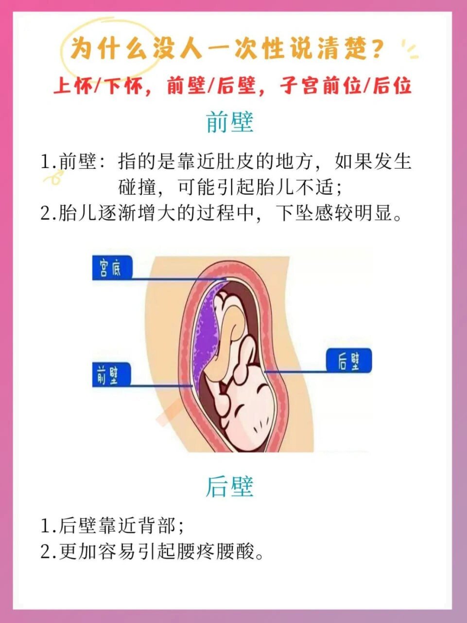 上怀下怀,前壁后壁,子宫前位和后位说清楚 上怀下怀,前壁后壁,子宫前