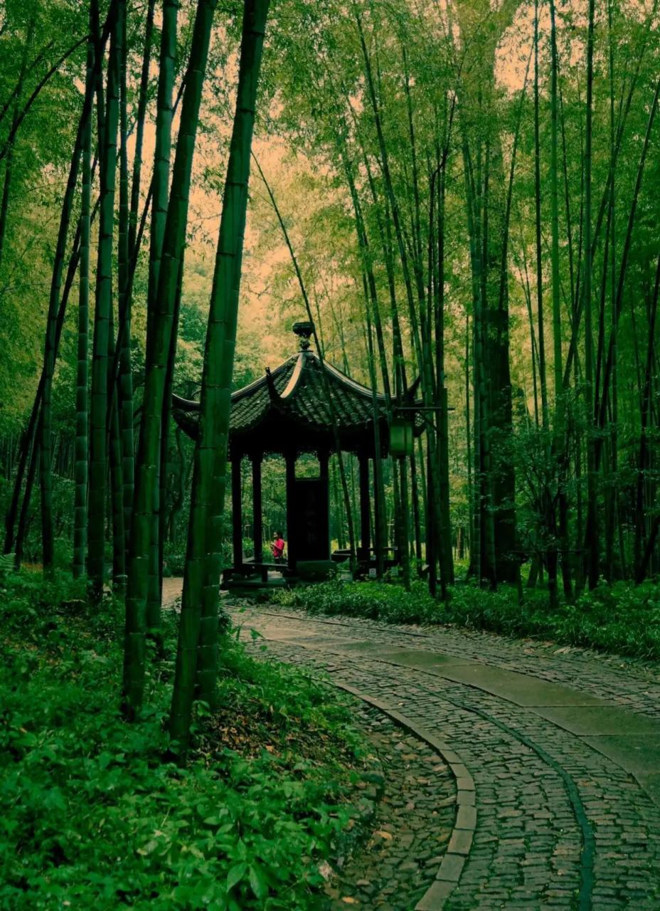 云栖竹径是杭州新西湖十景之一,它位于西湖西南,三面环山,一面环水